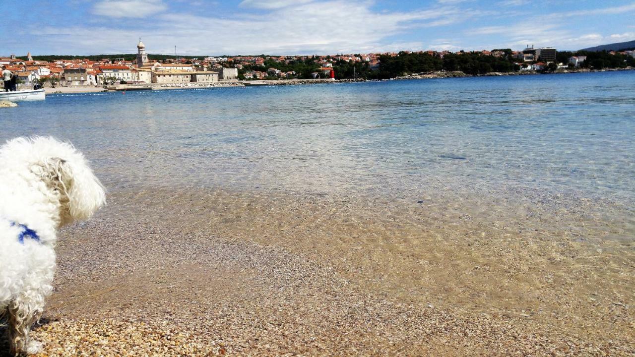 The Golden Island